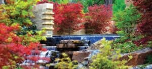 ‘USA Today’ wants to know if Dallas Arboretum is best botanical garden in the country – Dallas News