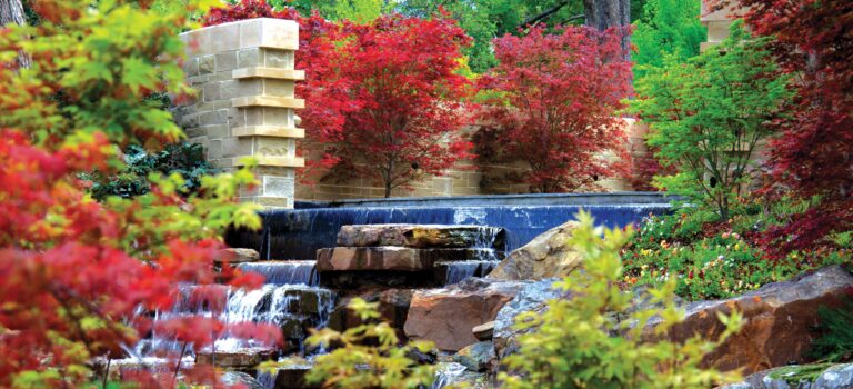 ‘USA Today’ wants to know if Dallas Arboretum is best botanical garden in the country – Dallas News