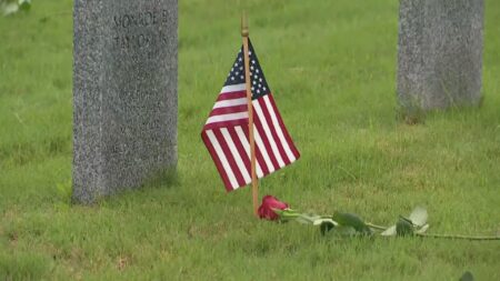 12 North Texas events to check out this Memorial Day weekend – Dallas News