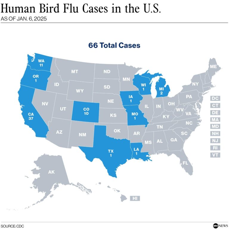 First bird flu death in the U.S.: Here’s what you need to know about the virus – Dallas News