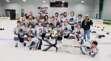 ‘They control everything’: How the Dallas Stars monopolized Texas youth hockey – USA Today