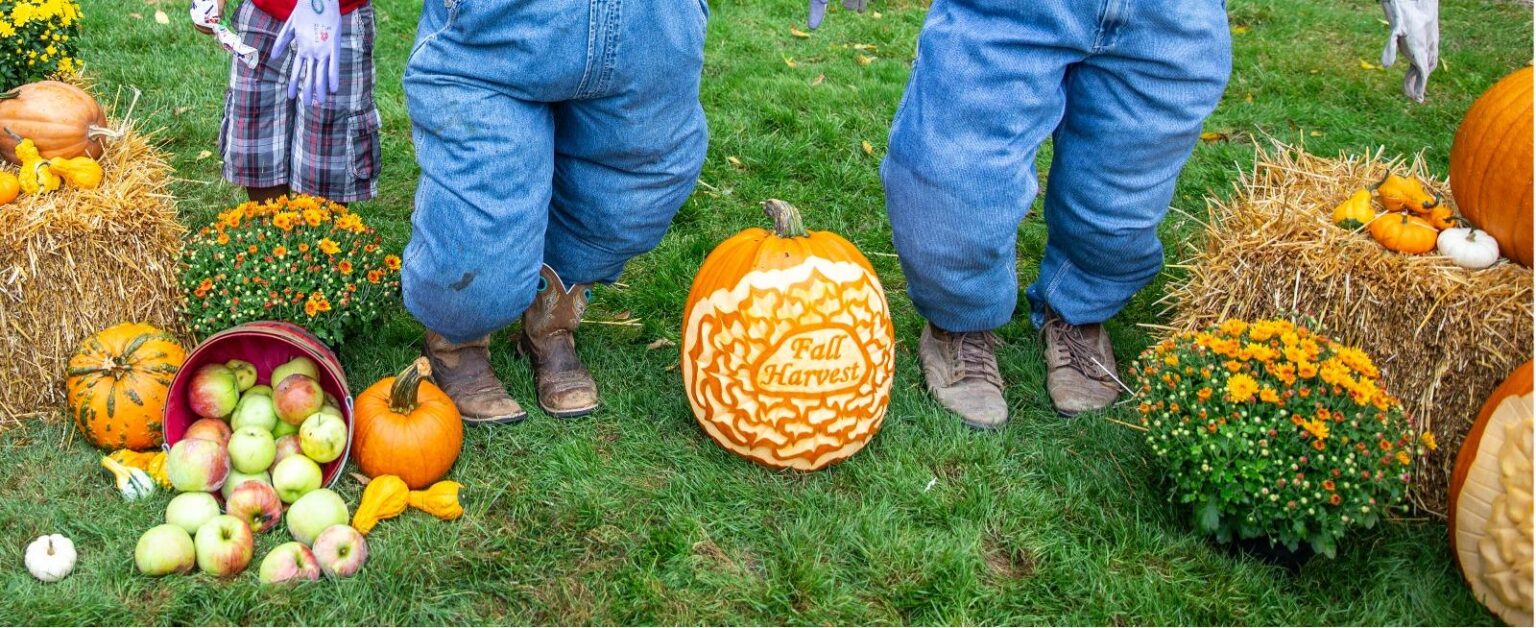 Top Fall Festivals You Can’t Miss This Harvest Season The Best Fall Festivals to Make the Most Out of Harvest Season – The Pioneer Woman