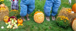 The Best Fall Festivals to Make the Most Out of Harvest Season – The Pioneer Woman