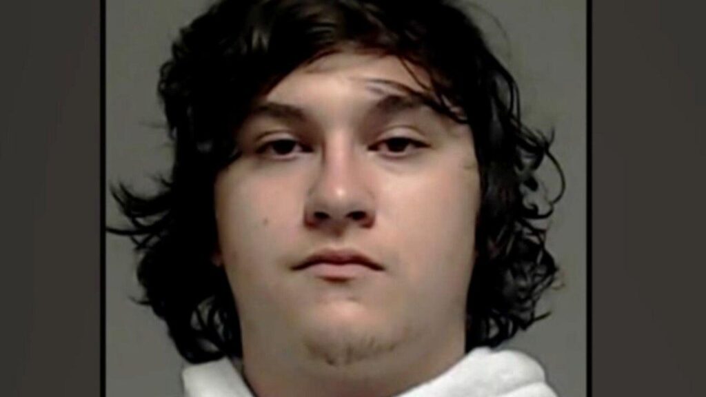 Deadly Ice Shooting Highlights Surge in Violence Amid Trump’s Immigration Crackdown Deadly Ice shooting comes as violence spikes amid Trump immigration crackdown – The Guardian