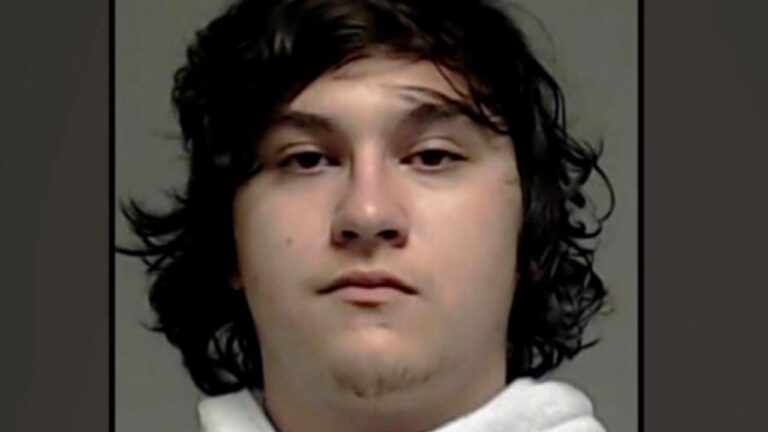 Deadly Ice shooting comes as violence spikes amid Trump immigration crackdown – The Guardian