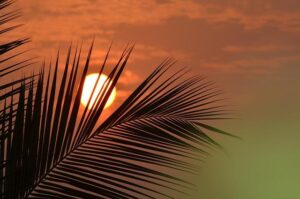 DHS Issues Statement on Targeted Attack on Dallas ICE Facility – Homeland Security (.gov)