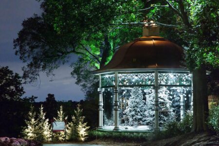 10+ Fun And Festive Things To Do In Dallas This November – Secret Dallas