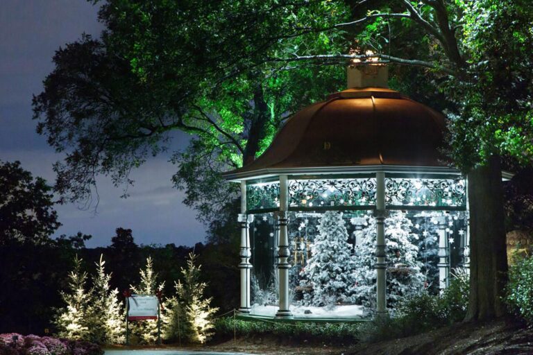 10+ Fun And Festive Things To Do In Dallas This November – Secret Dallas