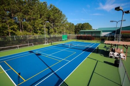 Sports Stars of Dallas to Clash on the Pickleball Court at Nationals – PPA Tour