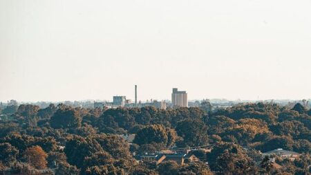 Suburban Dallas school district investigating alleged hazing in girls soccer program – USA TODAY High School Sports
