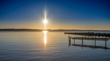 Q&A with Daniela Pires, Head of the USA 5G Smart Factory at Ericsson – The Business Journals