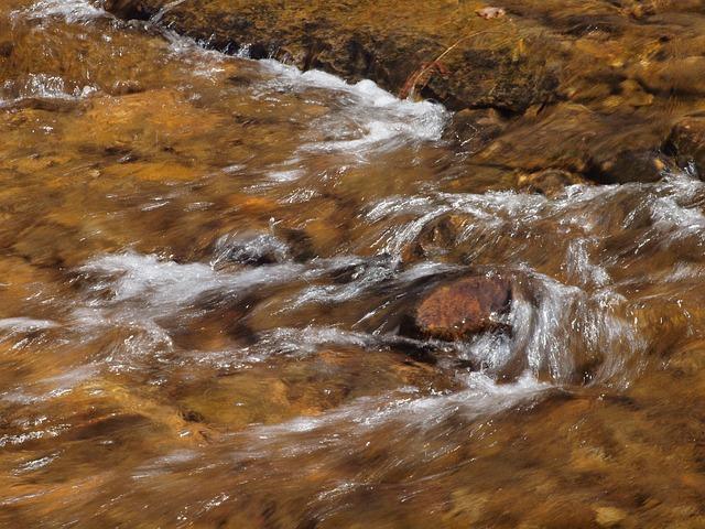 Crockett and Haynes Transform the Future of Black Political Leadership Crockett and Haynes Reshape Black Political Leadership – Dallas Weekly