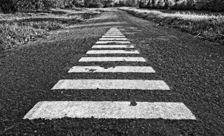 Dallas told to remove ‘political’ road markings or lose millions in state funds – The Independent