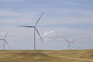 4 energy companies join ‘DExit’ movement, redomicile in Texas – Dallas News