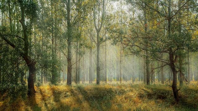 Tragic Hit-and-Run in Pleasant Grove Claims Life of Dallas Man Hit-and-run in Pleasant Grove leaves Dallas man dead – FOX 4 News Dallas-Fort Worth